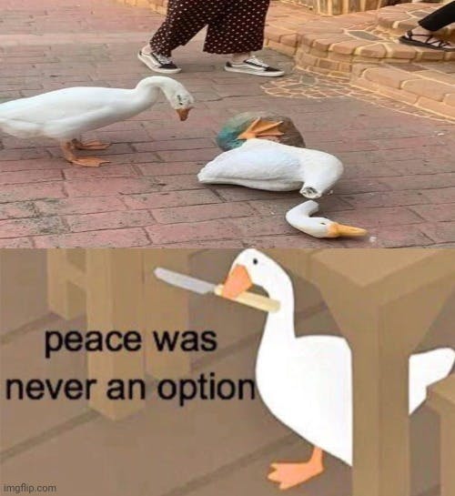 peace was never an option injured goose