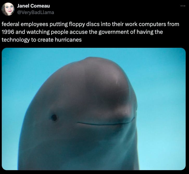 smiling dolphin meme