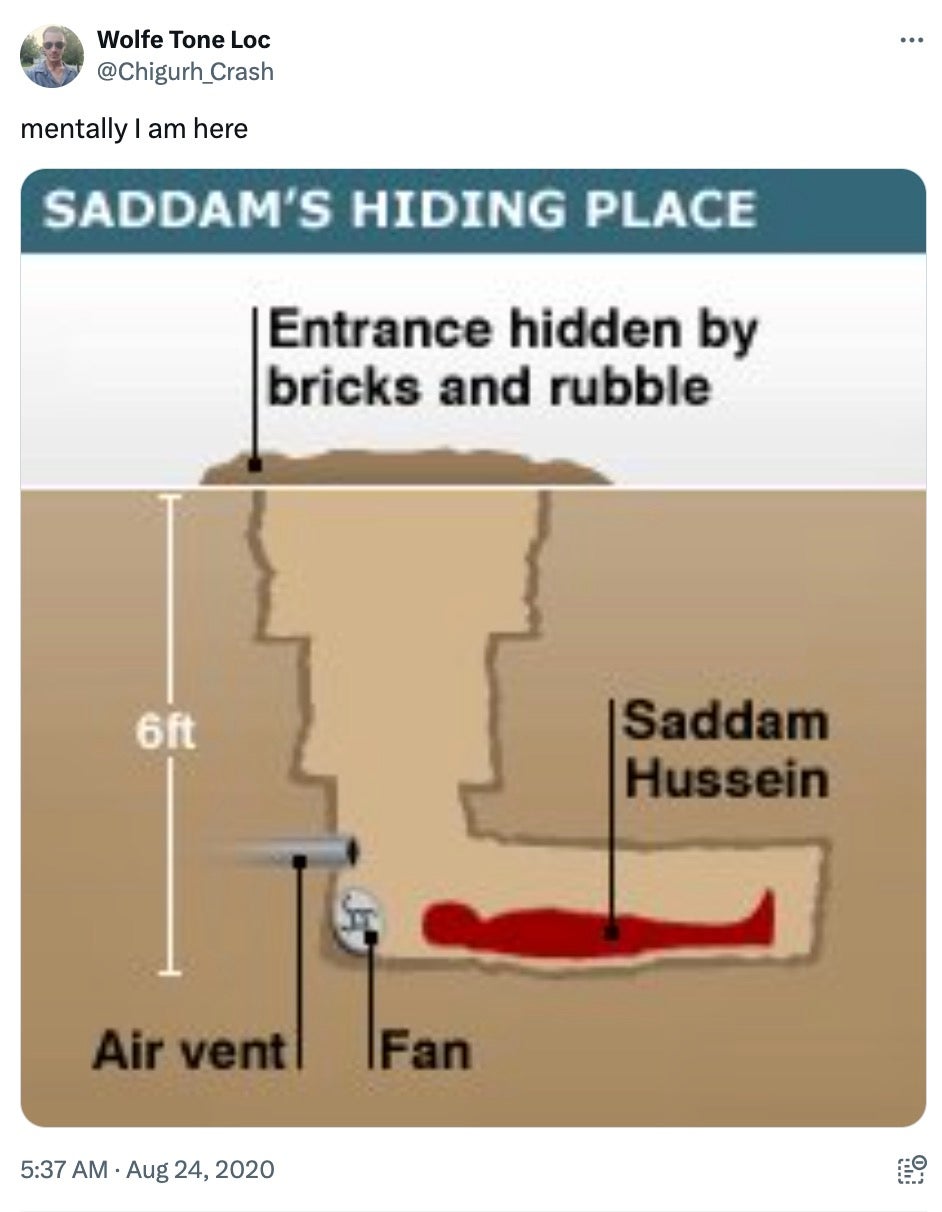 saddam hussein hiding place meme