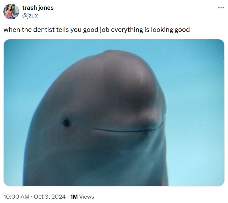 Smiling dolphin meme about dental checkups.