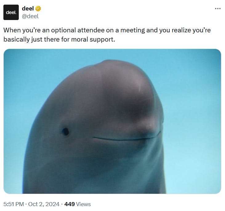 Smiling dolphin meme about work meetings.