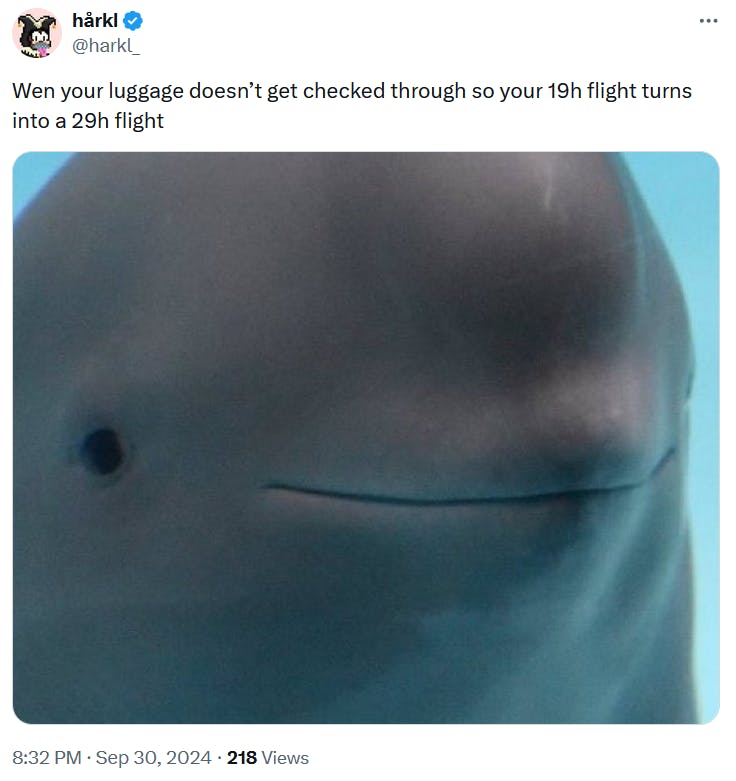 Smiling dolphin meme about luggage checking.