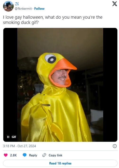 smoking duck halloween costume