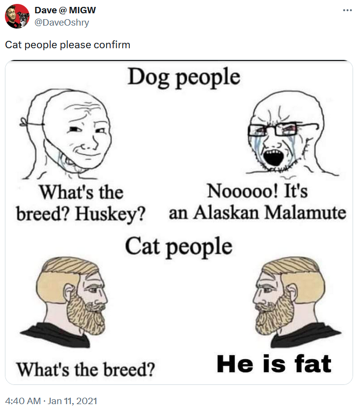 Soyjak vs. Chad meme about dog people and cat people.