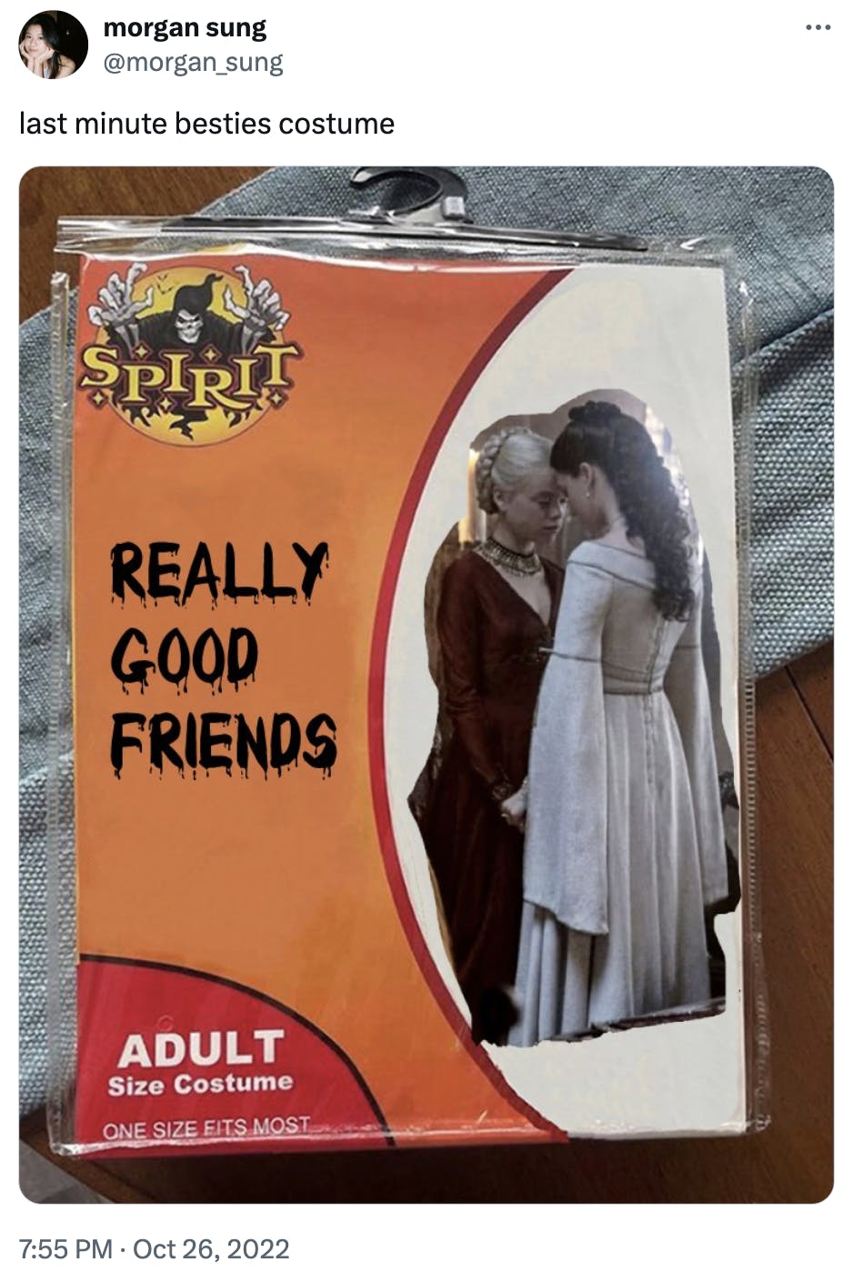 Spirit Halloween costume meme of 'really good friends.'