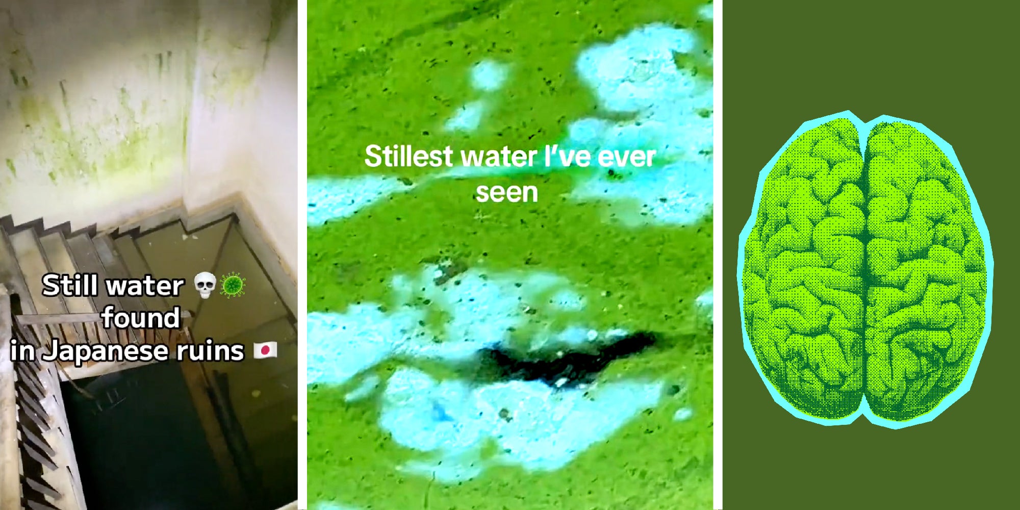Explaining The 'Still Water' Meme And TikTok Trend