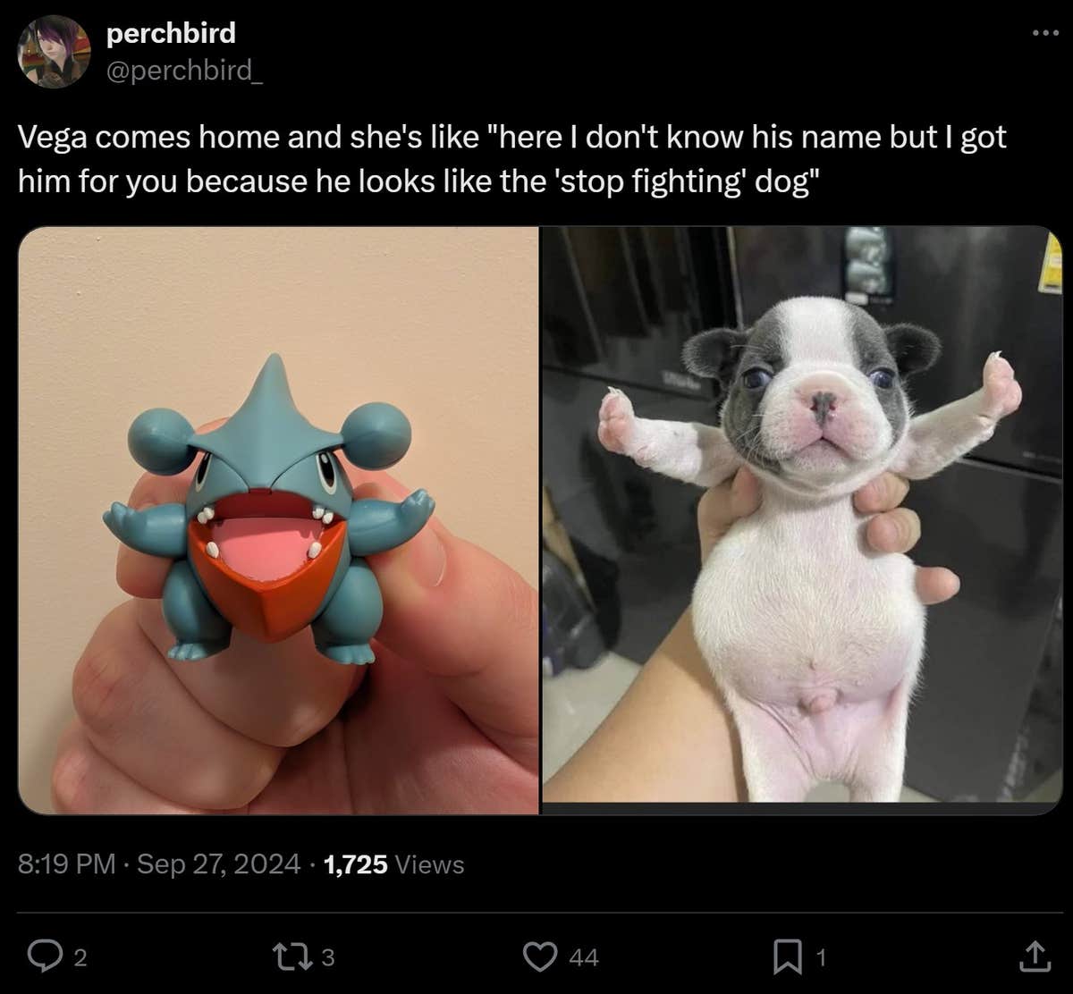 Stop Fighting Dog Meme: The Enduring Appeal Of T-Pose Puppy