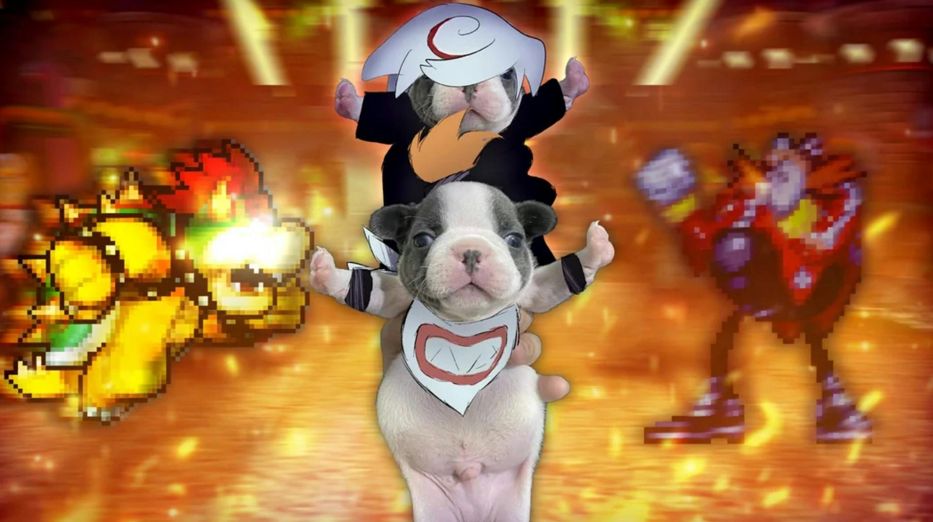 super smash bros stop fighting puppy