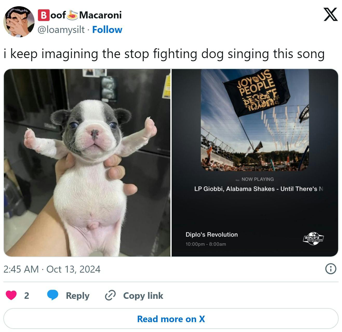 'i keep imagining the stop fighting dog singing this song'