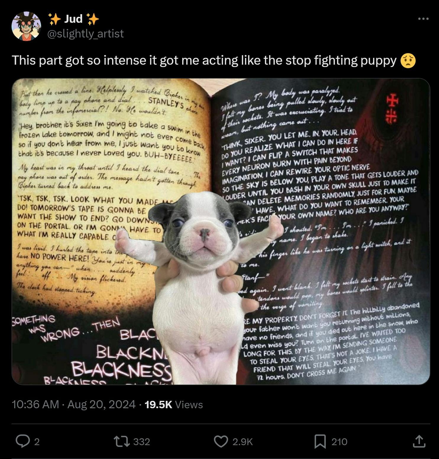 stop fighting puppy