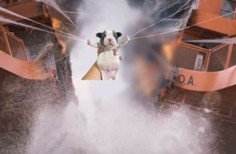 Stop Fighting Dog Meme: The Enduring Appeal Of T-Pose Puppy