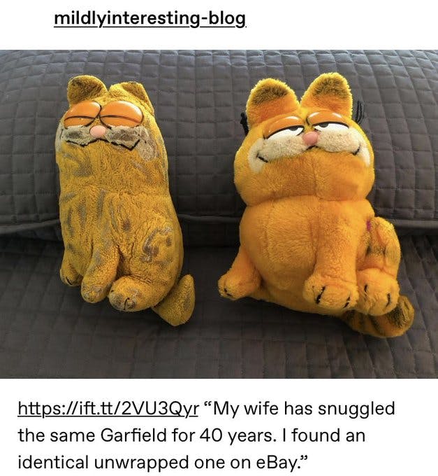 to be loved is to be changed garfield stuffed animal before and after