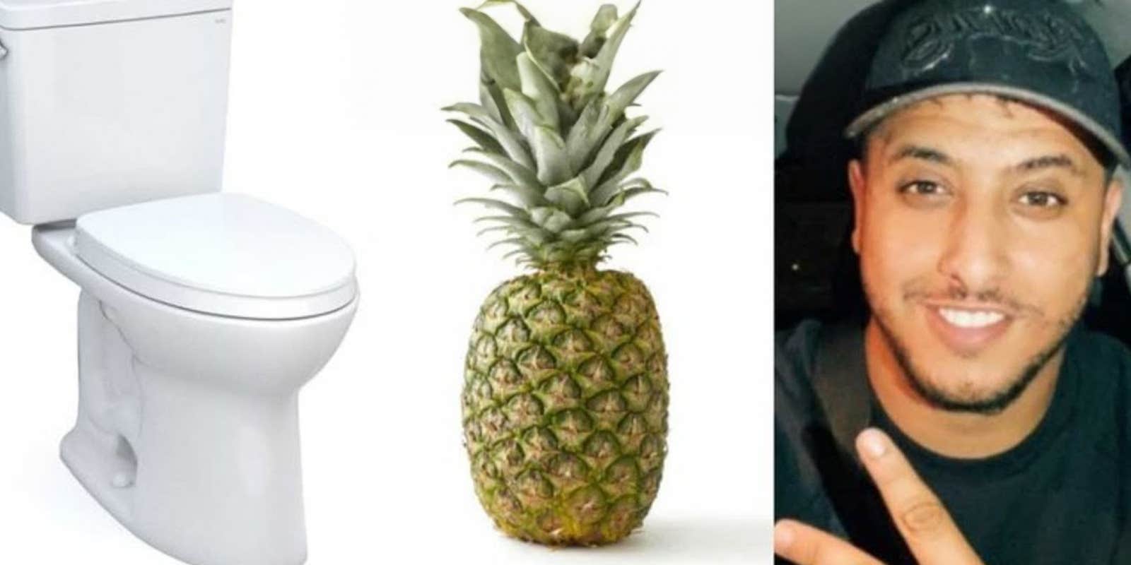 Toilettes Ananas Nasdas—A French TikTok Brainrot meme