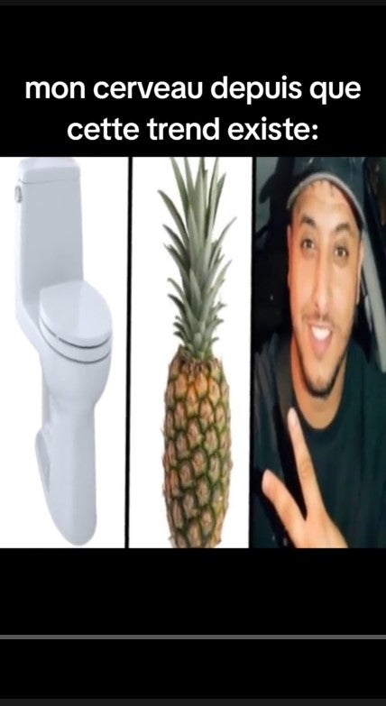 french brain rot meme about toilettes ananas nasdas meme