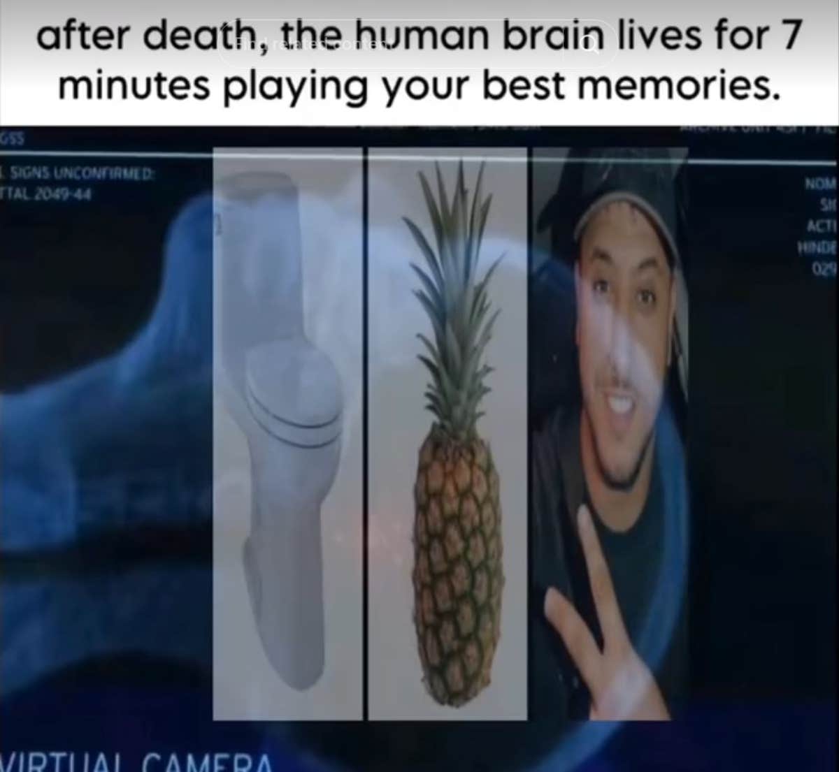 Toilettes Ananas Nasdas—A French TikTok Brainrot meme