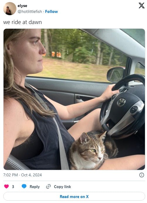 woman driving with cat on lap with tweet that says 'we ride at dawn'