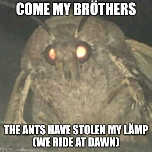 moth we ride at dawn meme