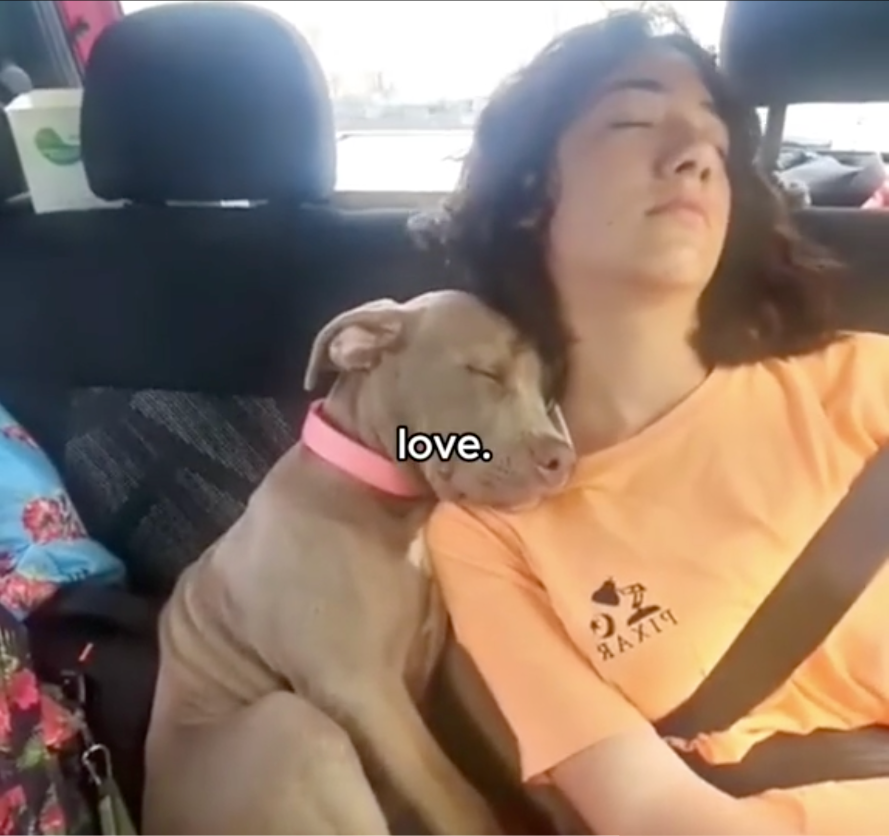 Hopecore TikTok of a teen and their puppy sleeping against each other in the back seat of a car.