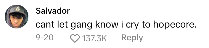 TikTok comment that reads, 'cant let gang know i cry to hopecore.'