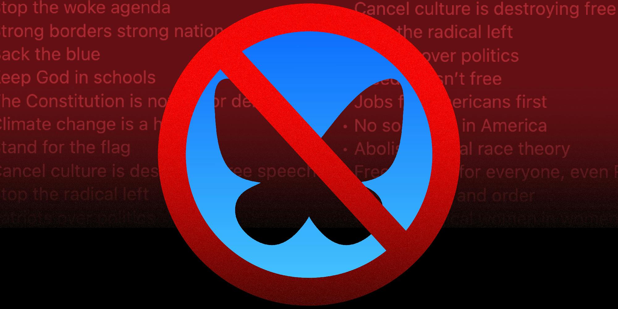 The Bluesky logo is crossed out with a red 'banned symbol. Various far right terms float in the murky background.