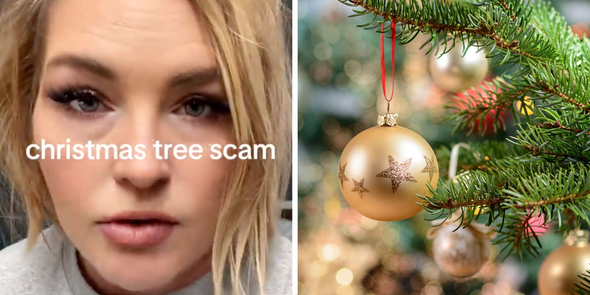 Homepage article image