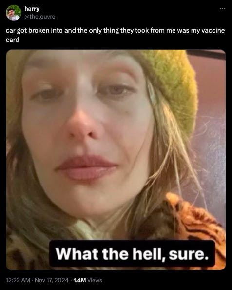 Jemima Kirke meme about getting a car broken into