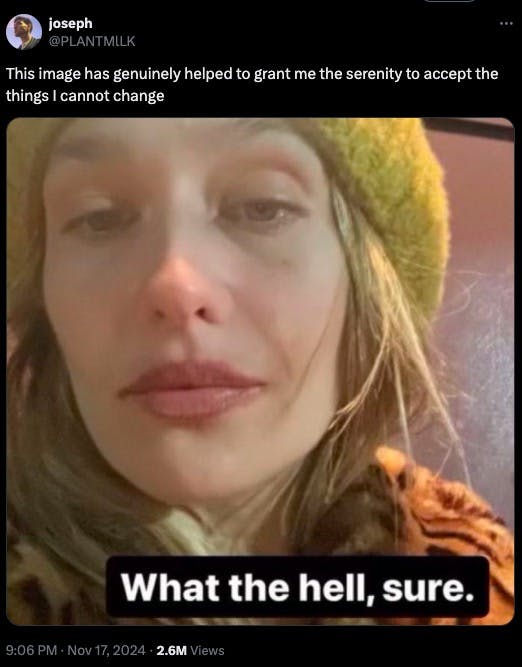 Jemima Kirke meme about accepting life