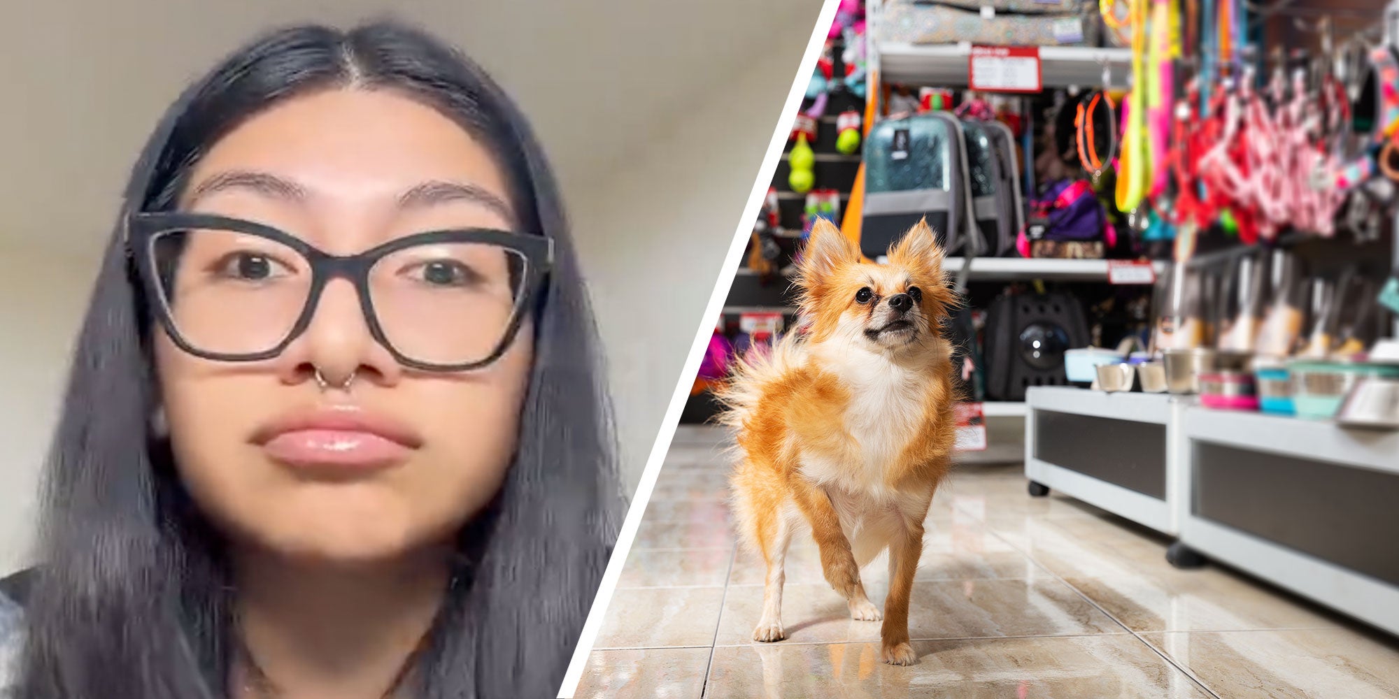 Two panel design with a woman looking frustrated in one and a little dog in a pet store in the other