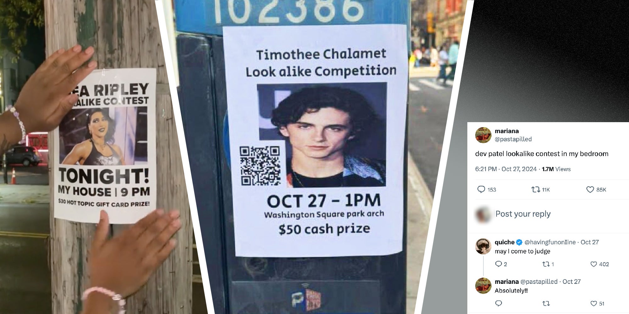 3 panel image showing the original Timothee Chalamet Look alike poster in the middle, and two dopplegangers on the sides.