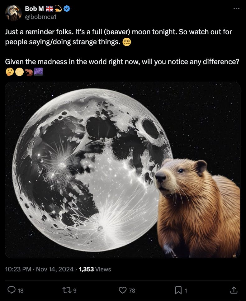 An X post reminding the viewer of the beaver moon, with a picture of the full moon in space next to a beaver