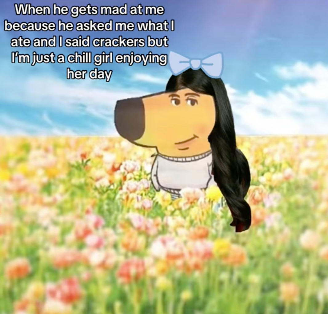 An anthropomorphic dog in a grey sweater and jeans with brunette hair and bow, sitting in a field with a 'chill girl' caption.