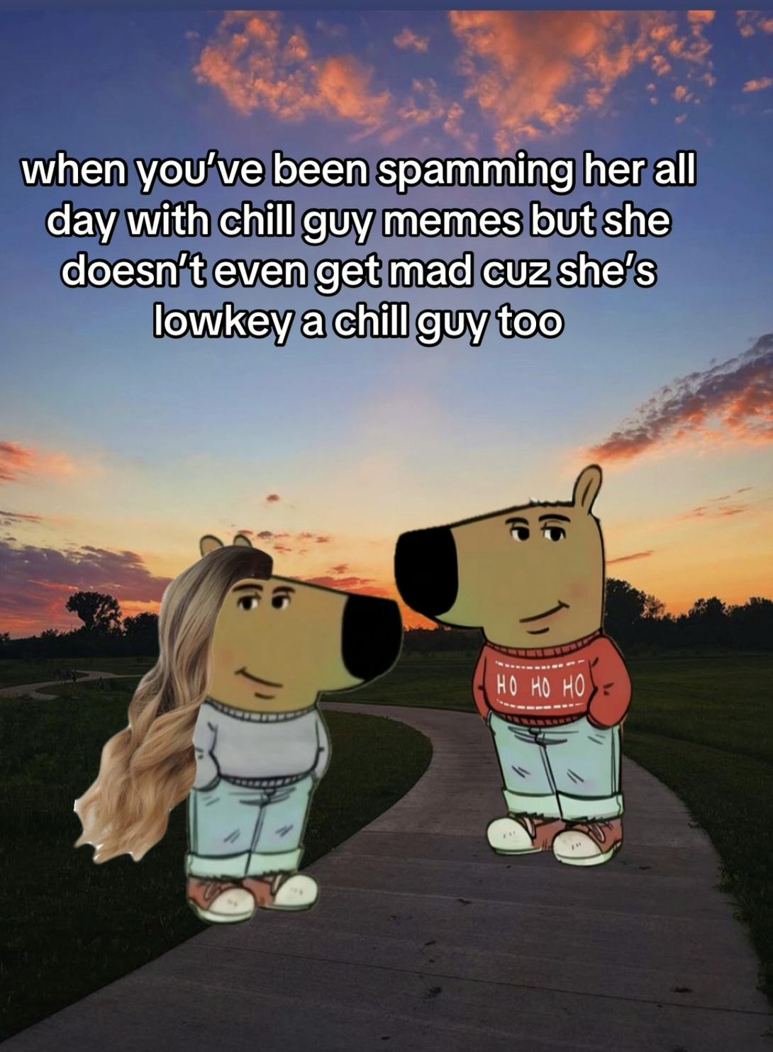 A TikTok still of two anthropromorphic dogs, one dressed as a girl, one as a guy, in the forefront of a sunset. The caption reads,' when you've been spamming her all day with chill guy memes but she doesn't even get mad cuz she's lowkey a chill guy too'