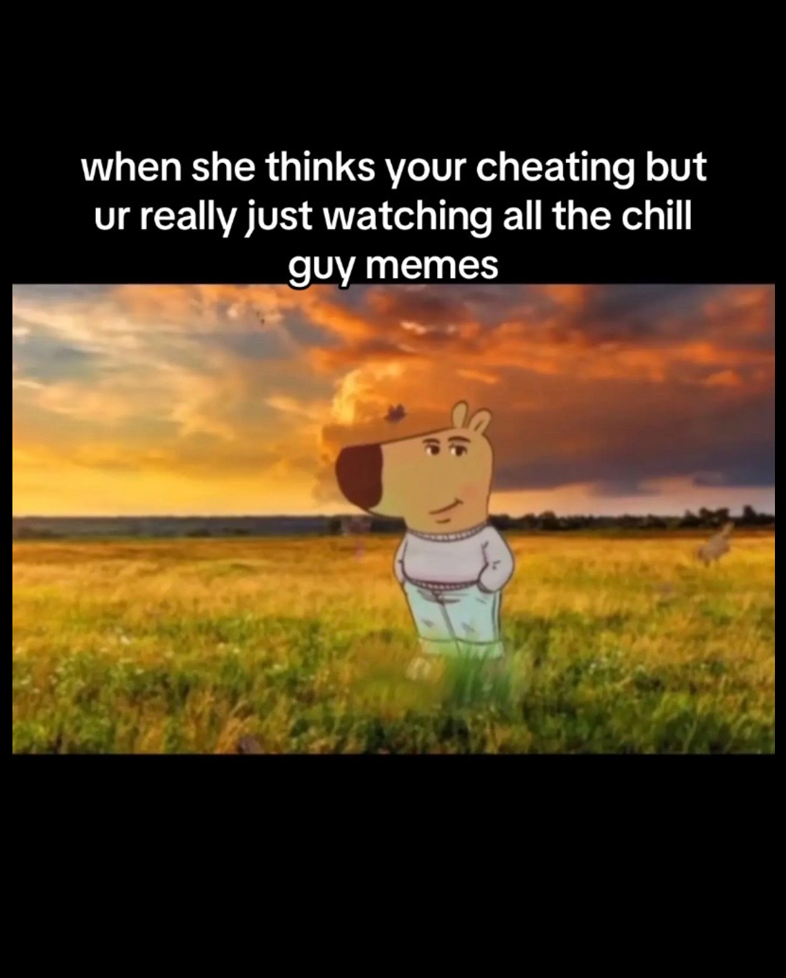 An anthropromorphic dog in a grey sweater and jeans with his hands in his pockets, in a beautiful field. The caption reads 'when she thinks you're cheating but ur really just watching all the chill guy memes'