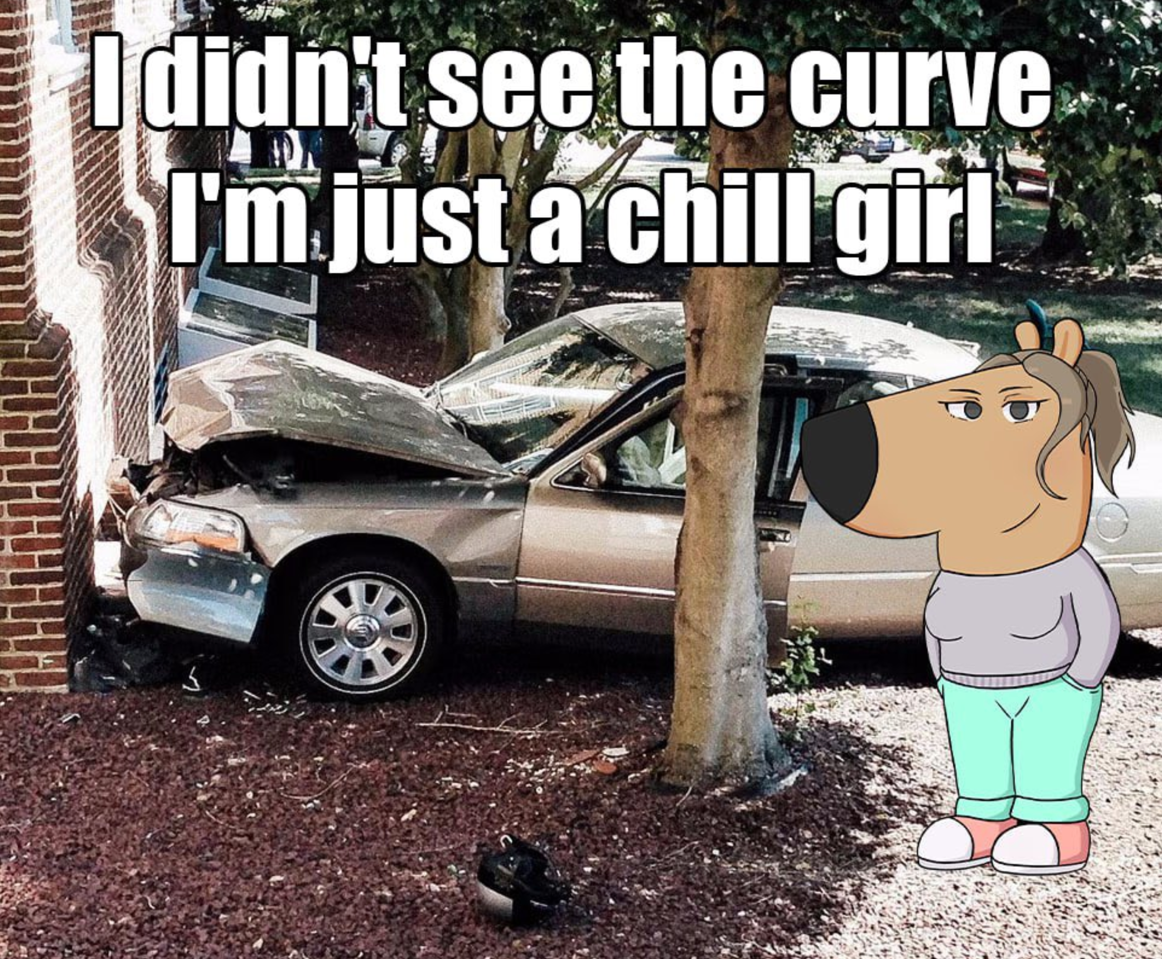 An anthropromorphic dog in a grey sweater and jeans withher hands in her pockets,and a ponytail. She's standign next to a crashed car. The Caption reads 'I didn't see the curve, I'm just a chill girl.'