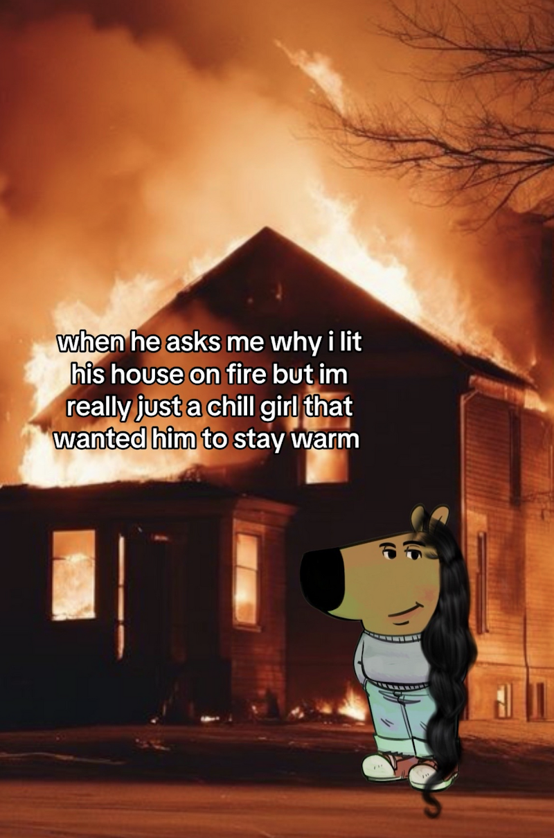 Just A Chill Girl Memes: A Girly Reply To Just A Chill Guy Memes