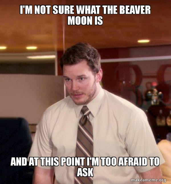 beaver moon meme with Andy Dwyer from Parks and Recreation reading: 'i'm not sure what the beaver moon is and at this point I'm too afraid to ask'