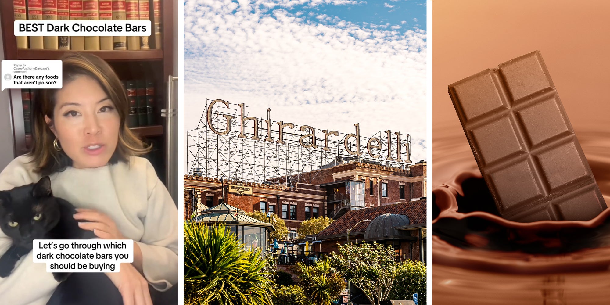 Woman holding cat(l) Ghirardelli sign(c) Chocolate bar dipped in chocolate(r)