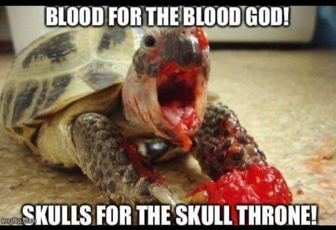 tortoise eating berry blood for the blood god