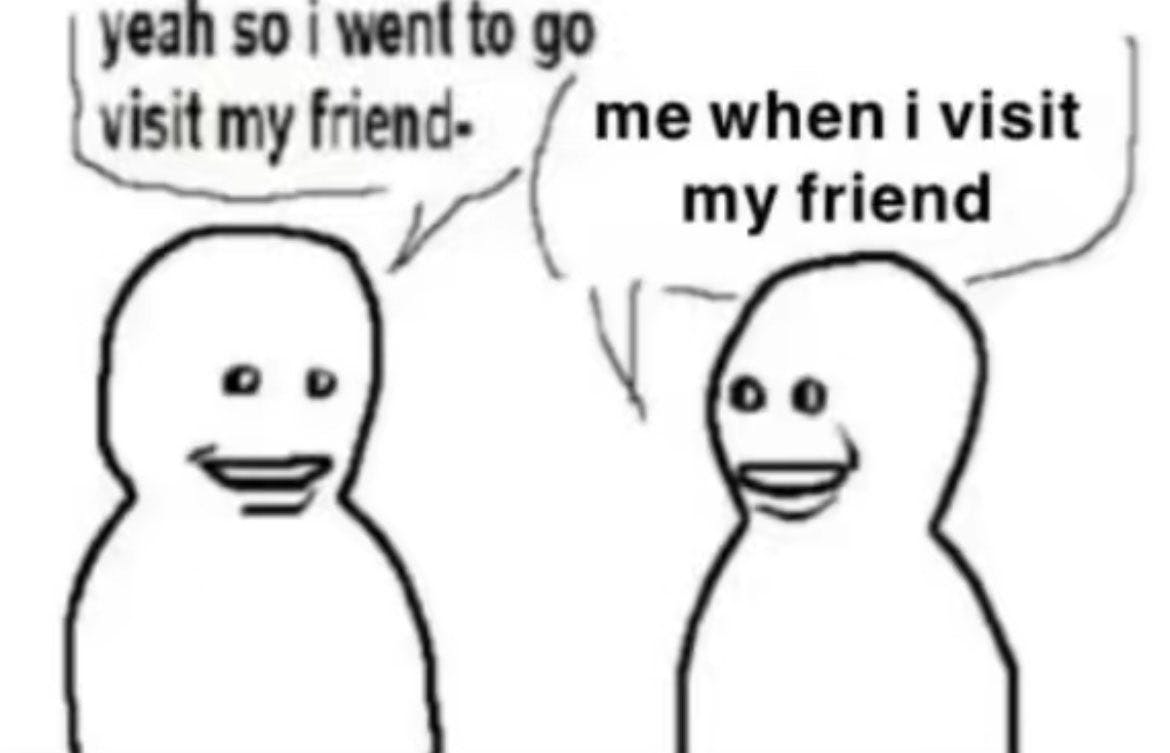 Bro Visited His Friend meme saying 'me when I visited my friend.'