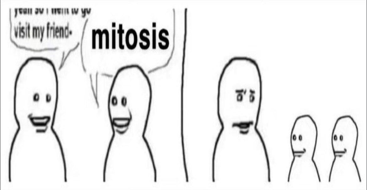 Bro Visited His Friend meme with a mitosis joke.