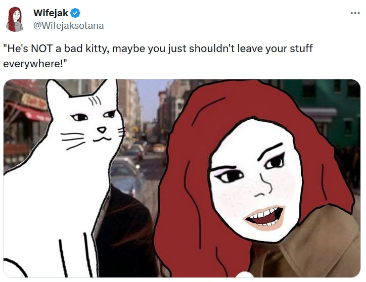 Wifejak meme showing her yelling over her shoulder to defend her cat.