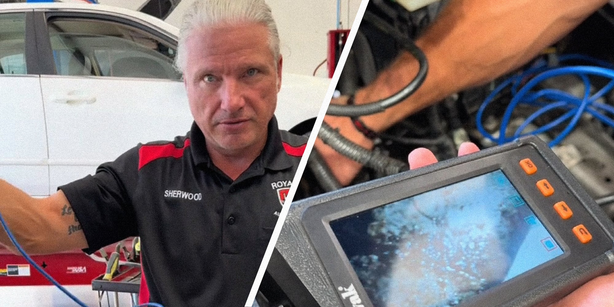 Homepage article image