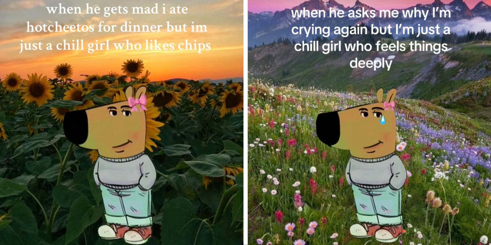 Chill girl meme character with hands in pockets and pink bow in a sunflower field with text that says "when he gets mad I ate hotcheetos for dinner but im just a chill girl who likes chips"(l), Chill girl meme with hands in pocket, bow and tear in a wild flower meadow with mountains in the background with text that says "when he asks me why im crying again but im just a chill girl who feels things deeply"(r)