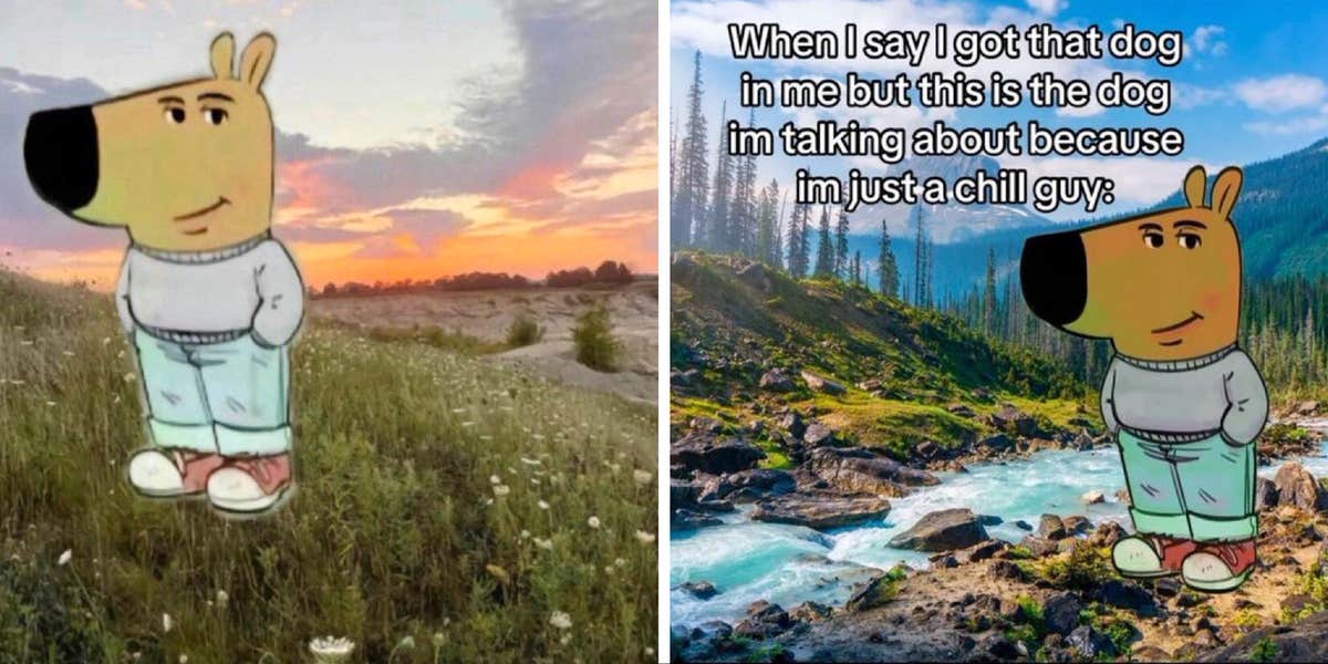 35 Of The Funniest I m Just A Chill Guy Memes 35-of-the-funniest-i-m-just-a-chill-guy-memes