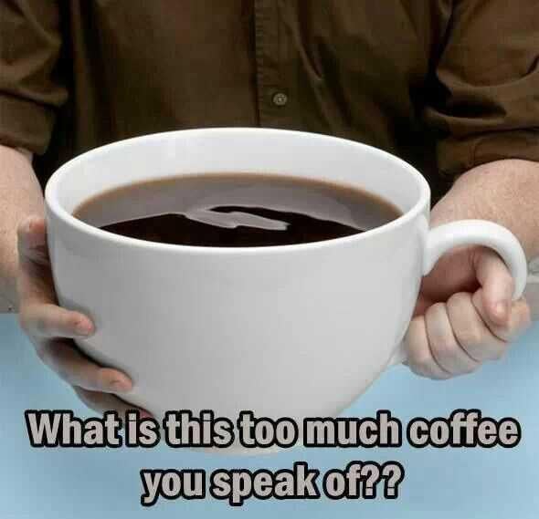 Photo of a person holding a massive mug of coffee. Text reads, 'What is this too much coffee you speak of??'