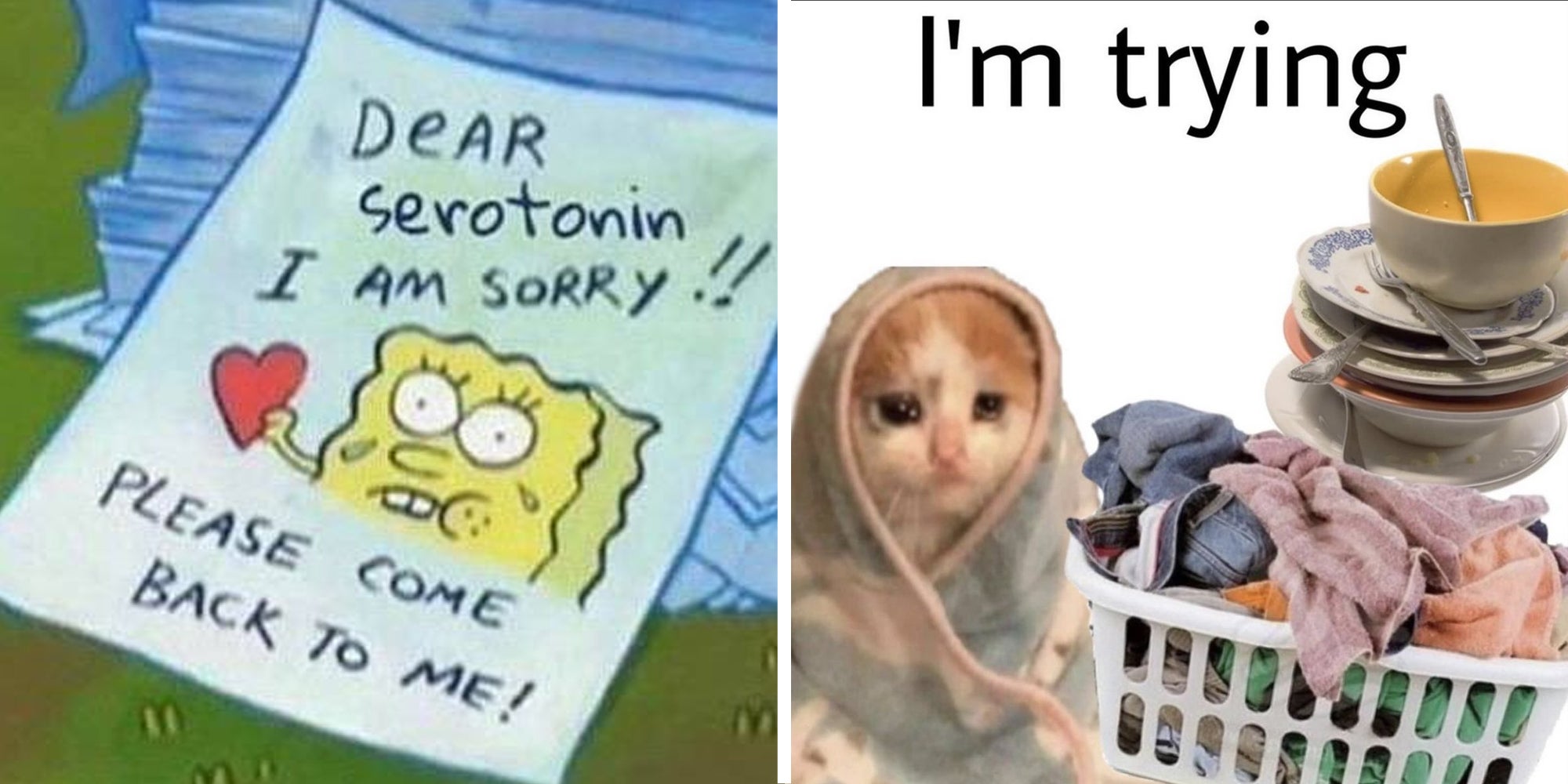 Letter with spongebob that says 'Dear Serotonin I am sorry!!! PLease come back'(l), Cat in towel crying with laundry in basket and stacked up dishes and text that says 'i'm trying'(r)