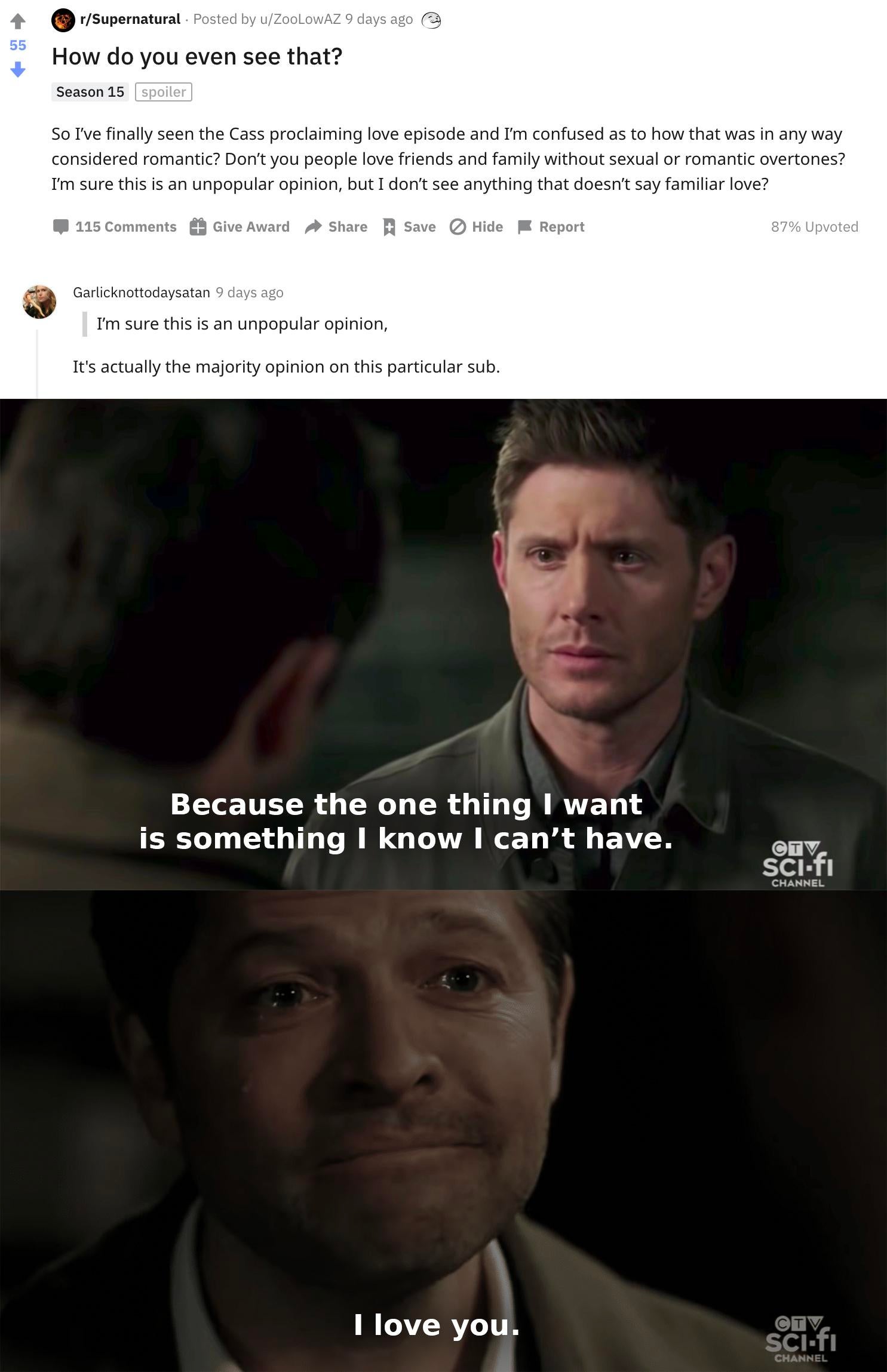 supernatural debate destiel