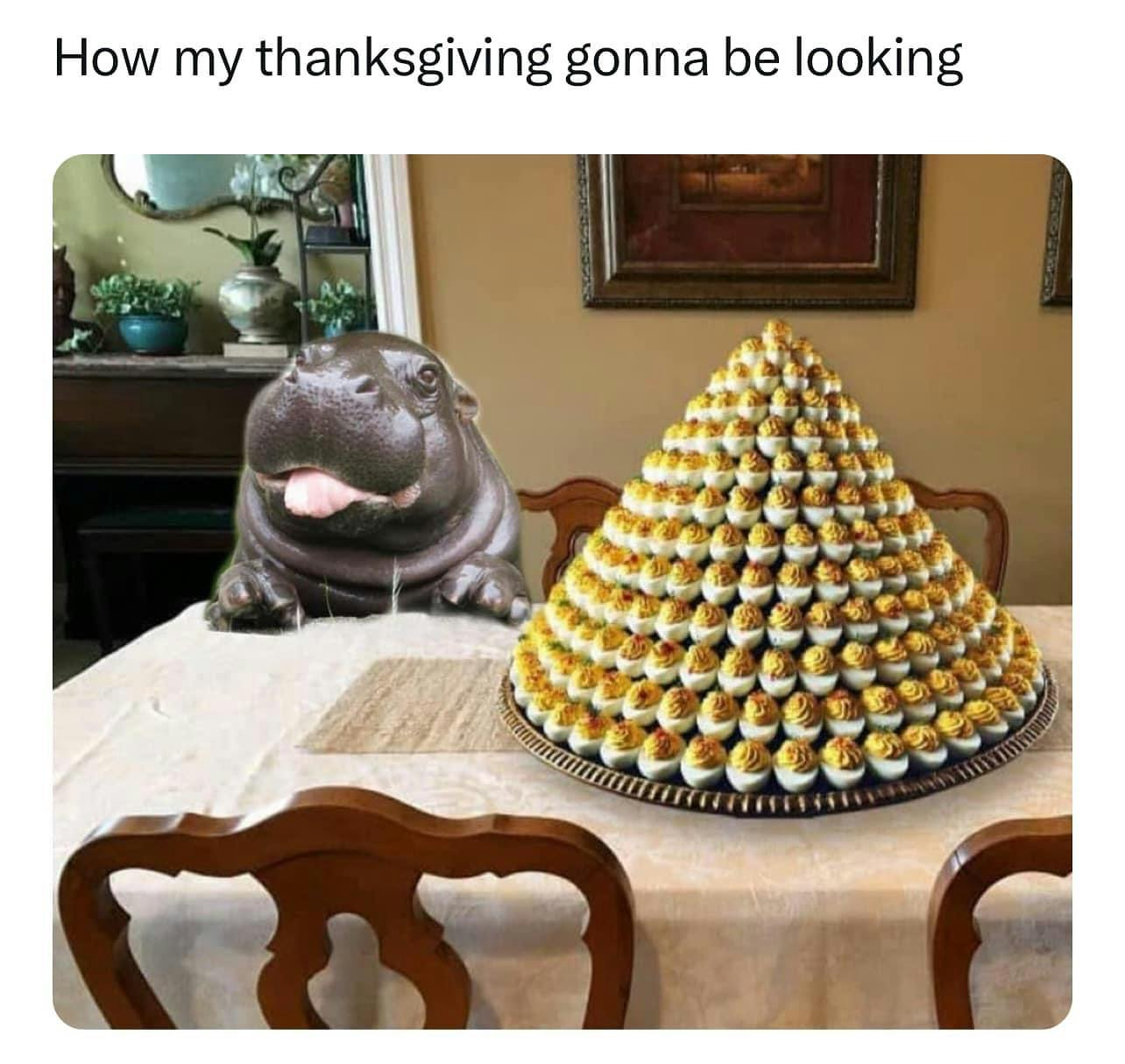 deviled eggs meme with a pyramid stack of deviled eggs and a photo of Moo Deng with her tongue sticking out. Text reads, 'How my thanksgiving gonna be looking.'