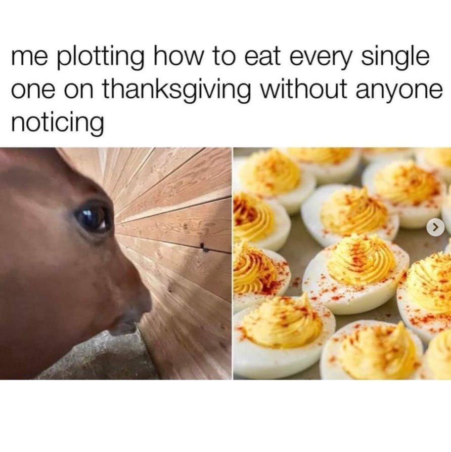 deviled eggs meme of a horse side eyeing and a photo of deviled eggs. Text reads, 'Me plotting how to eat every single one on thanksgiving without anyone noticing.'