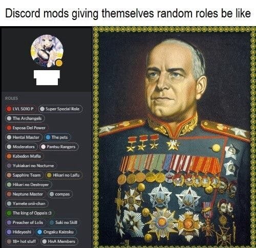 discord mods giving themselves random roles military medals memes